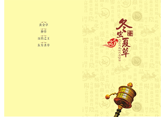 &#24320;&#20113;&#32593;&#39029;&#29256;&#45;&#24320;&#20113;&#40;&#20013;&#22269;&#41;